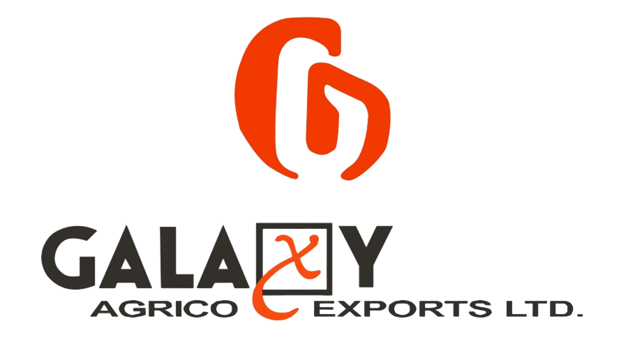 Galaxy Agrico Exports Ltd